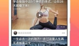 免费视频91,揭秘热门视频平台的魅力与资源